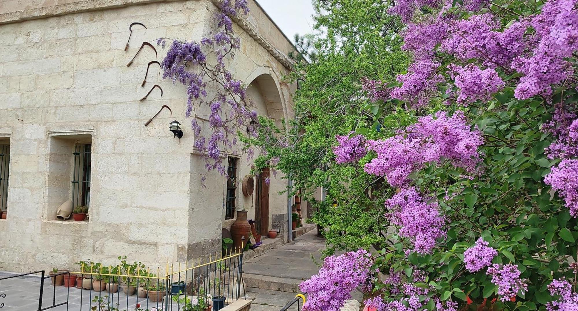 Armesos Cave Hotel Ürgüp Exteriér fotografie