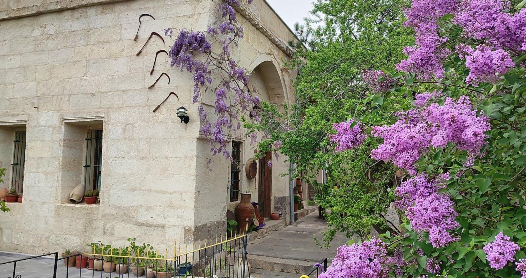 Armesos Cave Hotel Ürgüp Exteriér fotografie